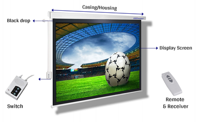 Motorized Projector Screen