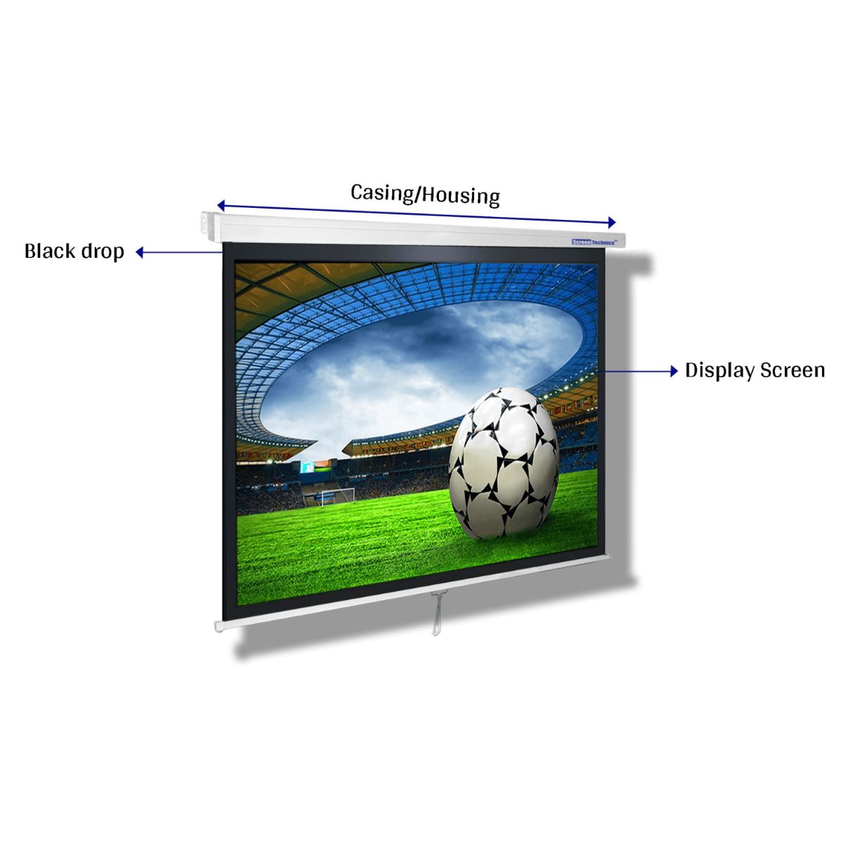 Projector Screen - ST-150MS169