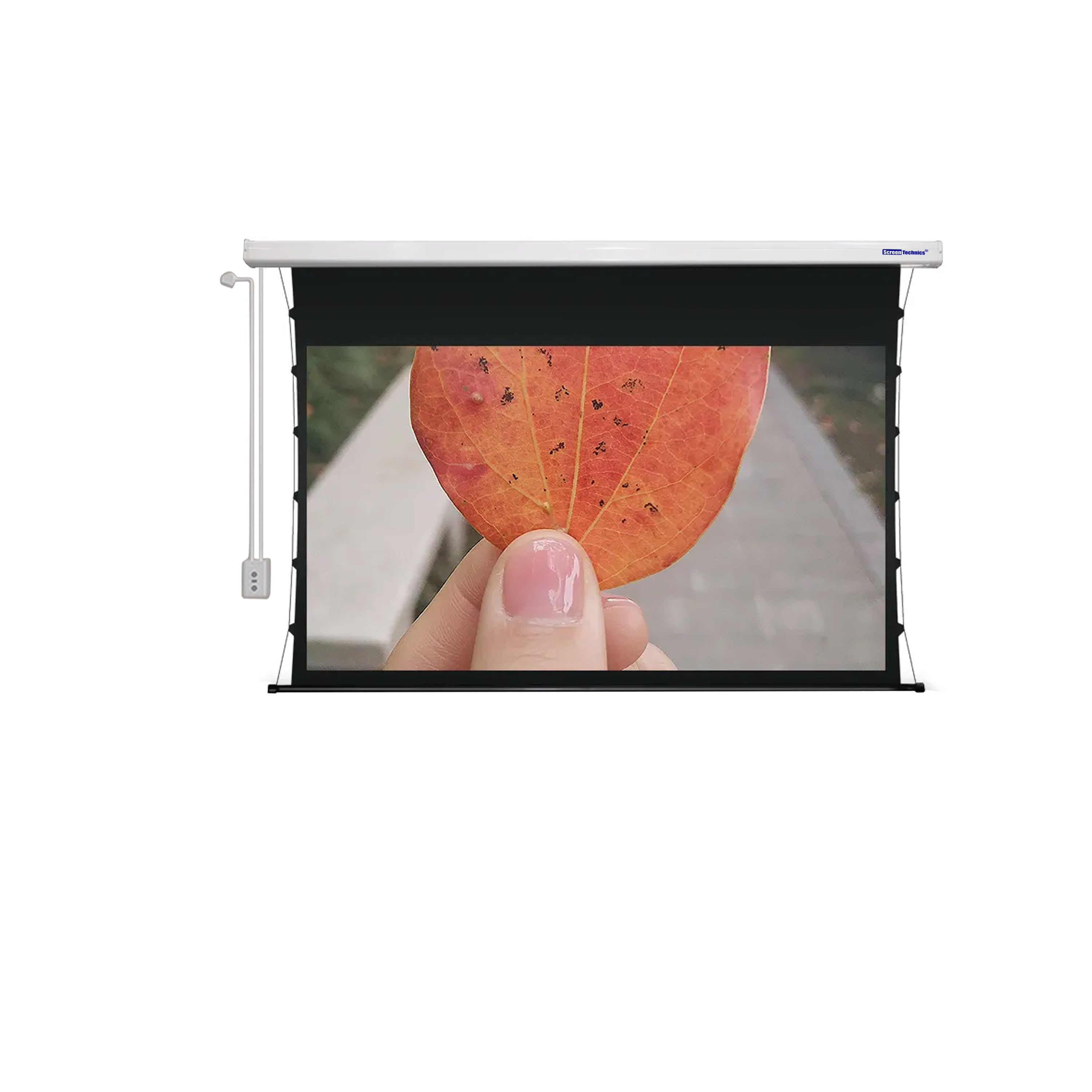 Screen Technics 110 ALR Tab Tension Motorized Projector Screen – 4K Dark Grey Fabric, 16:9 Format, Electric Drop-Down, Ultra HD & HDR Ready